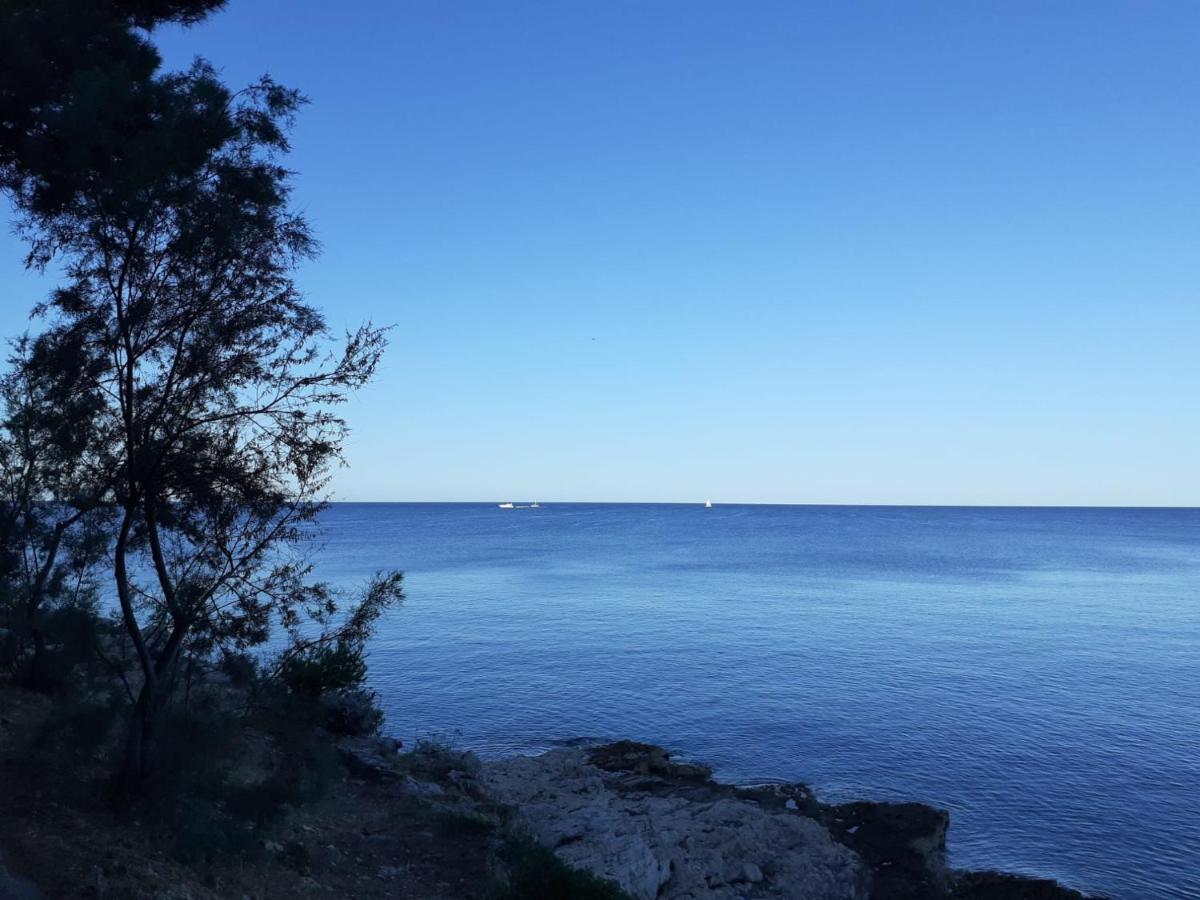 Apartment Sunrise, Coastal Istra, Pula Duga Uvala Pavicini Exteriér fotografie